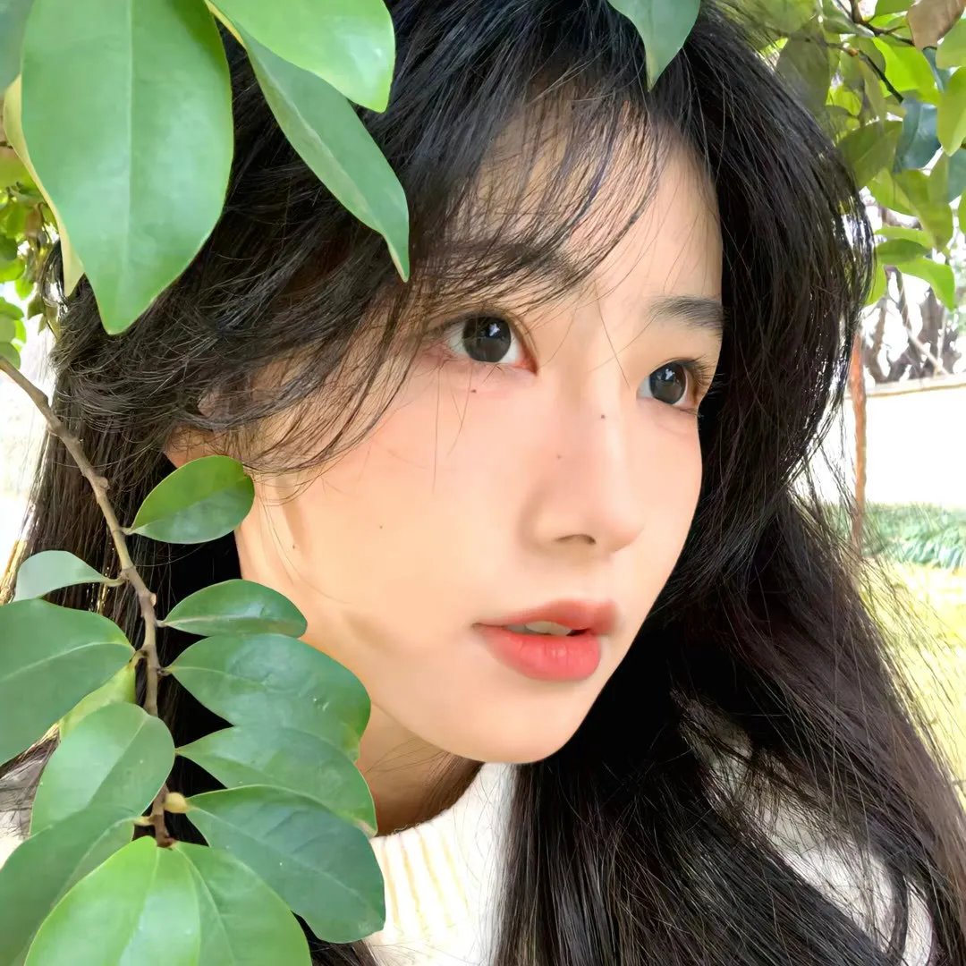 昙花一现